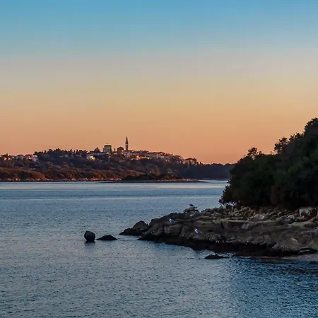 Apartamento In Porec/istrien 10267 Poreč