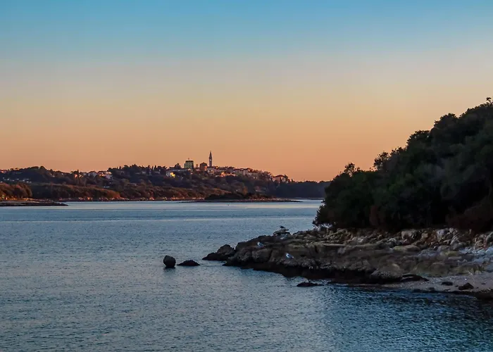 Apartamento In Porec/istrien 10267 Poreč