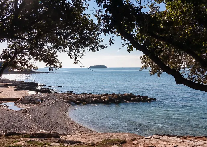 In Porec/istrien 10267 Apartamento